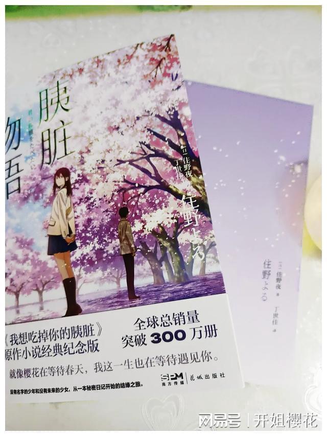 救援聪明男孩